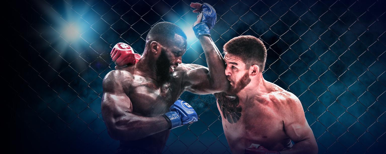 Regarder Professional Fighters League en ligne STARZ ON