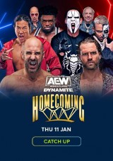 AEW Dynamite - 11-01-2024 - Catch Up
