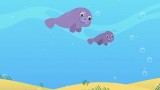 Wheel of Music: Manatee and Harbor Seal