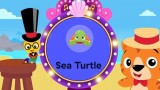 Wheel of Music: Sandpiper and Sea Turtle