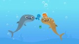 Wheel of Music: Whale Sharks and Great White Shark