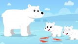 Wheel of Music: Polar Bears and Penguin