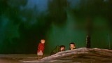 The Forrest Fire