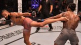 Dana White's Contender Series: Season 1 - Week 7