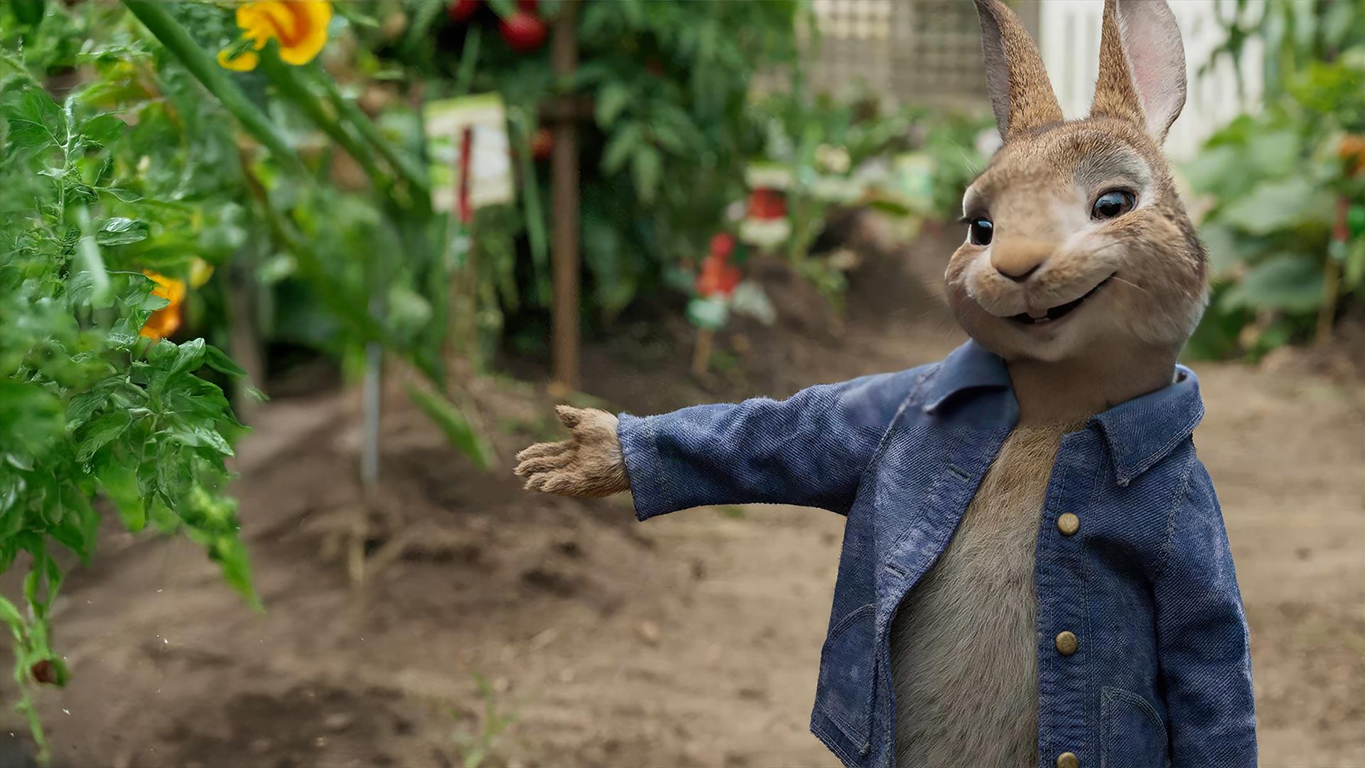 Watch Peter Rabbit | Store | STARZPLAY